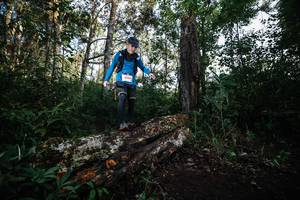 BIB: 
                            <button type="button" onclick="openModal(22369322)" class="btn btn-primary btn-sm float-right btn-popup" data-toggle="modal" data-target=".modal-high-quality">
                        <i class="fas fa-shopping-cart"></i> Add to Cart
                    </button>
                                            <button type="button" onclick="isThisMe(22369322, true)" class="btn btn-success btn-sm float-right btn-popup btn-isme hidden" data-toggle="tooltip" data-placement="bottom" title="นี่คือรูปของคุณใช่ไหม คลิกที่นี่เพื่อเอาเข้าอัลบั้ม">
                        <i class="fas fa-plus"></i> Add to album
                    </button>
                    <button type="button" onclick="isThisMe(22369322, false)" class="btn btn-warning btn-sm float-right btn-popup btn-isnotme hidden">
                        <i class="fas fa-ban"></i> Remove from album
                    </button>