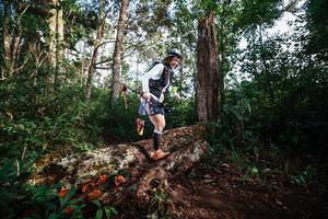 BIB: 
                            <button type="button" onclick="openModal(22368670)" class="btn btn-primary btn-sm float-right btn-popup" data-toggle="modal" data-target=".modal-high-quality">
                        <i class="fas fa-shopping-cart"></i> Add to Cart
                    </button>
                                            <button type="button" onclick="isThisMe(22368670, true)" class="btn btn-success btn-sm float-right btn-popup btn-isme hidden" data-toggle="tooltip" data-placement="bottom" title="นี่คือรูปของคุณใช่ไหม คลิกที่นี่เพื่อเอาเข้าอัลบั้ม">
                        <i class="fas fa-plus"></i> Add to album
                    </button>
                    <button type="button" onclick="isThisMe(22368670, false)" class="btn btn-warning btn-sm float-right btn-popup btn-isnotme hidden">
                        <i class="fas fa-ban"></i> Remove from album
                    </button>