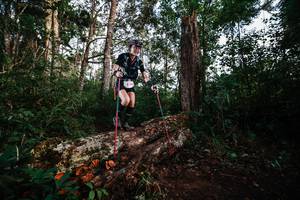 BIB: 8119
                            <button type="button" onclick="openModal(22368272)" class="btn btn-primary btn-sm float-right btn-popup" data-toggle="modal" data-target=".modal-high-quality">
                        <i class="fas fa-shopping-cart"></i> Add to Cart
                    </button>
                                            <button type="button" onclick="isThisMe(22368272, true)" class="btn btn-success btn-sm float-right btn-popup btn-isme hidden" data-toggle="tooltip" data-placement="bottom" title="นี่คือรูปของคุณใช่ไหม คลิกที่นี่เพื่อเอาเข้าอัลบั้ม">
                        <i class="fas fa-plus"></i> Add to album
                    </button>
                    <button type="button" onclick="isThisMe(22368272, false)" class="btn btn-warning btn-sm float-right btn-popup btn-isnotme hidden">
                        <i class="fas fa-ban"></i> Remove from album
                    </button>