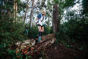 BIB: 
                            <button type="button" onclick="openModal(22367439)" class="btn btn-primary btn-sm float-right btn-popup" data-toggle="modal" data-target=".modal-high-quality">
                        <i class="fas fa-shopping-cart"></i> Add to Cart
                    </button>
                                            <button type="button" onclick="isThisMe(22367439, true)" class="btn btn-success btn-sm float-right btn-popup btn-isme hidden" data-toggle="tooltip" data-placement="bottom" title="นี่คือรูปของคุณใช่ไหม คลิกที่นี่เพื่อเอาเข้าอัลบั้ม">
                        <i class="fas fa-plus"></i> Add to album
                    </button>
                    <button type="button" onclick="isThisMe(22367439, false)" class="btn btn-warning btn-sm float-right btn-popup btn-isnotme hidden">
                        <i class="fas fa-ban"></i> Remove from album
                    </button>