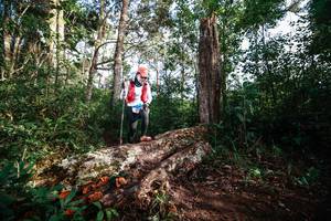 BIB: 
                            <button type="button" onclick="openModal(22368714)" class="btn btn-primary btn-sm float-right btn-popup" data-toggle="modal" data-target=".modal-high-quality">
                        <i class="fas fa-shopping-cart"></i> Add to Cart
                    </button>
                                            <button type="button" onclick="isThisMe(22368714, true)" class="btn btn-success btn-sm float-right btn-popup btn-isme hidden" data-toggle="tooltip" data-placement="bottom" title="นี่คือรูปของคุณใช่ไหม คลิกที่นี่เพื่อเอาเข้าอัลบั้ม">
                        <i class="fas fa-plus"></i> Add to album
                    </button>
                    <button type="button" onclick="isThisMe(22368714, false)" class="btn btn-warning btn-sm float-right btn-popup btn-isnotme hidden">
                        <i class="fas fa-ban"></i> Remove from album
                    </button>