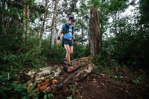 BIB: 
                            <button type="button" onclick="openModal(22368900)" class="btn btn-primary btn-sm float-right btn-popup" data-toggle="modal" data-target=".modal-high-quality">
                        <i class="fas fa-shopping-cart"></i> Add to Cart
                    </button>
                                            <button type="button" onclick="isThisMe(22368900, true)" class="btn btn-success btn-sm float-right btn-popup btn-isme hidden" data-toggle="tooltip" data-placement="bottom" title="นี่คือรูปของคุณใช่ไหม คลิกที่นี่เพื่อเอาเข้าอัลบั้ม">
                        <i class="fas fa-plus"></i> Add to album
                    </button>
                    <button type="button" onclick="isThisMe(22368900, false)" class="btn btn-warning btn-sm float-right btn-popup btn-isnotme hidden">
                        <i class="fas fa-ban"></i> Remove from album
                    </button>