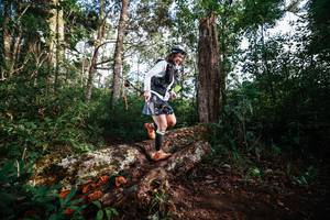 BIB: 
                            <button type="button" onclick="openModal(22368678)" class="btn btn-primary btn-sm float-right btn-popup" data-toggle="modal" data-target=".modal-high-quality">
                        <i class="fas fa-shopping-cart"></i> Add to Cart
                    </button>
                                            <button type="button" onclick="isThisMe(22368678, true)" class="btn btn-success btn-sm float-right btn-popup btn-isme hidden" data-toggle="tooltip" data-placement="bottom" title="นี่คือรูปของคุณใช่ไหม คลิกที่นี่เพื่อเอาเข้าอัลบั้ม">
                        <i class="fas fa-plus"></i> Add to album
                    </button>
                    <button type="button" onclick="isThisMe(22368678, false)" class="btn btn-warning btn-sm float-right btn-popup btn-isnotme hidden">
                        <i class="fas fa-ban"></i> Remove from album
                    </button>