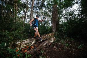 BIB: 
                            <button type="button" onclick="openModal(22369168)" class="btn btn-primary btn-sm float-right btn-popup" data-toggle="modal" data-target=".modal-high-quality">
                        <i class="fas fa-shopping-cart"></i> Add to Cart
                    </button>
                                            <button type="button" onclick="isThisMe(22369168, true)" class="btn btn-success btn-sm float-right btn-popup btn-isme hidden" data-toggle="tooltip" data-placement="bottom" title="นี่คือรูปของคุณใช่ไหม คลิกที่นี่เพื่อเอาเข้าอัลบั้ม">
                        <i class="fas fa-plus"></i> Add to album
                    </button>
                    <button type="button" onclick="isThisMe(22369168, false)" class="btn btn-warning btn-sm float-right btn-popup btn-isnotme hidden">
                        <i class="fas fa-ban"></i> Remove from album
                    </button>