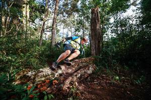 BIB: 
                            <button type="button" onclick="openModal(22368798)" class="btn btn-primary btn-sm float-right btn-popup" data-toggle="modal" data-target=".modal-high-quality">
                        <i class="fas fa-shopping-cart"></i> Add to Cart
                    </button>
                                            <button type="button" onclick="isThisMe(22368798, true)" class="btn btn-success btn-sm float-right btn-popup btn-isme hidden" data-toggle="tooltip" data-placement="bottom" title="นี่คือรูปของคุณใช่ไหม คลิกที่นี่เพื่อเอาเข้าอัลบั้ม">
                        <i class="fas fa-plus"></i> Add to album
                    </button>
                    <button type="button" onclick="isThisMe(22368798, false)" class="btn btn-warning btn-sm float-right btn-popup btn-isnotme hidden">
                        <i class="fas fa-ban"></i> Remove from album
                    </button>