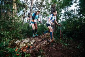 BIB: 
                            <button type="button" onclick="openModal(22367600)" class="btn btn-primary btn-sm float-right btn-popup" data-toggle="modal" data-target=".modal-high-quality">
                        <i class="fas fa-shopping-cart"></i> Add to Cart
                    </button>
                                            <button type="button" onclick="isThisMe(22367600, true)" class="btn btn-success btn-sm float-right btn-popup btn-isme hidden" data-toggle="tooltip" data-placement="bottom" title="นี่คือรูปของคุณใช่ไหม คลิกที่นี่เพื่อเอาเข้าอัลบั้ม">
                        <i class="fas fa-plus"></i> Add to album
                    </button>
                    <button type="button" onclick="isThisMe(22367600, false)" class="btn btn-warning btn-sm float-right btn-popup btn-isnotme hidden">
                        <i class="fas fa-ban"></i> Remove from album
                    </button>