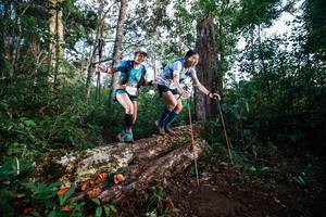 BIB: 
                            <button type="button" onclick="openModal(22367594)" class="btn btn-primary btn-sm float-right btn-popup" data-toggle="modal" data-target=".modal-high-quality">
                        <i class="fas fa-shopping-cart"></i> Add to Cart
                    </button>
                                            <button type="button" onclick="isThisMe(22367594, true)" class="btn btn-success btn-sm float-right btn-popup btn-isme hidden" data-toggle="tooltip" data-placement="bottom" title="นี่คือรูปของคุณใช่ไหม คลิกที่นี่เพื่อเอาเข้าอัลบั้ม">
                        <i class="fas fa-plus"></i> Add to album
                    </button>
                    <button type="button" onclick="isThisMe(22367594, false)" class="btn btn-warning btn-sm float-right btn-popup btn-isnotme hidden">
                        <i class="fas fa-ban"></i> Remove from album
                    </button>