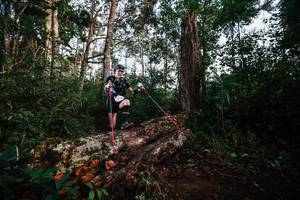 BIB: 
                            <button type="button" onclick="openModal(22368258)" class="btn btn-primary btn-sm float-right btn-popup" data-toggle="modal" data-target=".modal-high-quality">
                        <i class="fas fa-shopping-cart"></i> Add to Cart
                    </button>
                                            <button type="button" onclick="isThisMe(22368258, true)" class="btn btn-success btn-sm float-right btn-popup btn-isme hidden" data-toggle="tooltip" data-placement="bottom" title="นี่คือรูปของคุณใช่ไหม คลิกที่นี่เพื่อเอาเข้าอัลบั้ม">
                        <i class="fas fa-plus"></i> Add to album
                    </button>
                    <button type="button" onclick="isThisMe(22368258, false)" class="btn btn-warning btn-sm float-right btn-popup btn-isnotme hidden">
                        <i class="fas fa-ban"></i> Remove from album
                    </button>