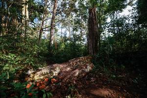 BIB: 
                            <button type="button" onclick="openModal(22367764)" class="btn btn-primary btn-sm float-right btn-popup" data-toggle="modal" data-target=".modal-high-quality">
                        <i class="fas fa-shopping-cart"></i> Add to Cart
                    </button>
                                            <button type="button" onclick="isThisMe(22367764, true)" class="btn btn-success btn-sm float-right btn-popup btn-isme hidden" data-toggle="tooltip" data-placement="bottom" title="นี่คือรูปของคุณใช่ไหม คลิกที่นี่เพื่อเอาเข้าอัลบั้ม">
                        <i class="fas fa-plus"></i> Add to album
                    </button>
                    <button type="button" onclick="isThisMe(22367764, false)" class="btn btn-warning btn-sm float-right btn-popup btn-isnotme hidden">
                        <i class="fas fa-ban"></i> Remove from album
                    </button>