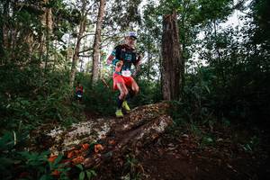 BIB: 
                            <button type="button" onclick="openModal(22368408)" class="btn btn-primary btn-sm float-right btn-popup" data-toggle="modal" data-target=".modal-high-quality">
                        <i class="fas fa-shopping-cart"></i> Add to Cart
                    </button>
                                            <button type="button" onclick="isThisMe(22368408, true)" class="btn btn-success btn-sm float-right btn-popup btn-isme hidden" data-toggle="tooltip" data-placement="bottom" title="นี่คือรูปของคุณใช่ไหม คลิกที่นี่เพื่อเอาเข้าอัลบั้ม">
                        <i class="fas fa-plus"></i> Add to album
                    </button>
                    <button type="button" onclick="isThisMe(22368408, false)" class="btn btn-warning btn-sm float-right btn-popup btn-isnotme hidden">
                        <i class="fas fa-ban"></i> Remove from album
                    </button>