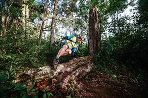 BIB: 
                            <button type="button" onclick="openModal(22368795)" class="btn btn-primary btn-sm float-right btn-popup" data-toggle="modal" data-target=".modal-high-quality">
                        <i class="fas fa-shopping-cart"></i> Add to Cart
                    </button>
                                            <button type="button" onclick="isThisMe(22368795, true)" class="btn btn-success btn-sm float-right btn-popup btn-isme hidden" data-toggle="tooltip" data-placement="bottom" title="นี่คือรูปของคุณใช่ไหม คลิกที่นี่เพื่อเอาเข้าอัลบั้ม">
                        <i class="fas fa-plus"></i> Add to album
                    </button>
                    <button type="button" onclick="isThisMe(22368795, false)" class="btn btn-warning btn-sm float-right btn-popup btn-isnotme hidden">
                        <i class="fas fa-ban"></i> Remove from album
                    </button>