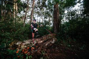 BIB: 
                            <button type="button" onclick="openModal(22368215)" class="btn btn-primary btn-sm float-right btn-popup" data-toggle="modal" data-target=".modal-high-quality">
                        <i class="fas fa-shopping-cart"></i> Add to Cart
                    </button>
                                            <button type="button" onclick="isThisMe(22368215, true)" class="btn btn-success btn-sm float-right btn-popup btn-isme hidden" data-toggle="tooltip" data-placement="bottom" title="นี่คือรูปของคุณใช่ไหม คลิกที่นี่เพื่อเอาเข้าอัลบั้ม">
                        <i class="fas fa-plus"></i> Add to album
                    </button>
                    <button type="button" onclick="isThisMe(22368215, false)" class="btn btn-warning btn-sm float-right btn-popup btn-isnotme hidden">
                        <i class="fas fa-ban"></i> Remove from album
                    </button>