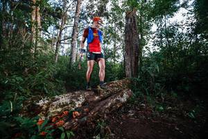 BIB: 
                            <button type="button" onclick="openModal(22367241)" class="btn btn-primary btn-sm float-right btn-popup" data-toggle="modal" data-target=".modal-high-quality">
                        <i class="fas fa-shopping-cart"></i> Add to Cart
                    </button>
                                            <button type="button" onclick="isThisMe(22367241, true)" class="btn btn-success btn-sm float-right btn-popup btn-isme hidden" data-toggle="tooltip" data-placement="bottom" title="นี่คือรูปของคุณใช่ไหม คลิกที่นี่เพื่อเอาเข้าอัลบั้ม">
                        <i class="fas fa-plus"></i> Add to album
                    </button>
                    <button type="button" onclick="isThisMe(22367241, false)" class="btn btn-warning btn-sm float-right btn-popup btn-isnotme hidden">
                        <i class="fas fa-ban"></i> Remove from album
                    </button>