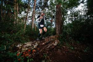 BIB: 
                            <button type="button" onclick="openModal(22368820)" class="btn btn-primary btn-sm float-right btn-popup" data-toggle="modal" data-target=".modal-high-quality">
                        <i class="fas fa-shopping-cart"></i> Add to Cart
                    </button>
                                            <button type="button" onclick="isThisMe(22368820, true)" class="btn btn-success btn-sm float-right btn-popup btn-isme hidden" data-toggle="tooltip" data-placement="bottom" title="นี่คือรูปของคุณใช่ไหม คลิกที่นี่เพื่อเอาเข้าอัลบั้ม">
                        <i class="fas fa-plus"></i> Add to album
                    </button>
                    <button type="button" onclick="isThisMe(22368820, false)" class="btn btn-warning btn-sm float-right btn-popup btn-isnotme hidden">
                        <i class="fas fa-ban"></i> Remove from album
                    </button>