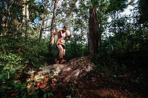 BIB: 
                            <button type="button" onclick="openModal(22367730)" class="btn btn-primary btn-sm float-right btn-popup" data-toggle="modal" data-target=".modal-high-quality">
                        <i class="fas fa-shopping-cart"></i> Add to Cart
                    </button>
                                            <button type="button" onclick="isThisMe(22367730, true)" class="btn btn-success btn-sm float-right btn-popup btn-isme hidden" data-toggle="tooltip" data-placement="bottom" title="นี่คือรูปของคุณใช่ไหม คลิกที่นี่เพื่อเอาเข้าอัลบั้ม">
                        <i class="fas fa-plus"></i> Add to album
                    </button>
                    <button type="button" onclick="isThisMe(22367730, false)" class="btn btn-warning btn-sm float-right btn-popup btn-isnotme hidden">
                        <i class="fas fa-ban"></i> Remove from album
                    </button>