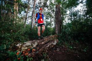 BIB: 
                            <button type="button" onclick="openModal(22367240)" class="btn btn-primary btn-sm float-right btn-popup" data-toggle="modal" data-target=".modal-high-quality">
                        <i class="fas fa-shopping-cart"></i> Add to Cart
                    </button>
                                            <button type="button" onclick="isThisMe(22367240, true)" class="btn btn-success btn-sm float-right btn-popup btn-isme hidden" data-toggle="tooltip" data-placement="bottom" title="นี่คือรูปของคุณใช่ไหม คลิกที่นี่เพื่อเอาเข้าอัลบั้ม">
                        <i class="fas fa-plus"></i> Add to album
                    </button>
                    <button type="button" onclick="isThisMe(22367240, false)" class="btn btn-warning btn-sm float-right btn-popup btn-isnotme hidden">
                        <i class="fas fa-ban"></i> Remove from album
                    </button>