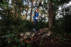 BIB: 
                            <button type="button" onclick="openModal(22369397)" class="btn btn-primary btn-sm float-right btn-popup" data-toggle="modal" data-target=".modal-high-quality">
                        <i class="fas fa-shopping-cart"></i> Add to Cart
                    </button>
                                            <button type="button" onclick="isThisMe(22369397, true)" class="btn btn-success btn-sm float-right btn-popup btn-isme hidden" data-toggle="tooltip" data-placement="bottom" title="นี่คือรูปของคุณใช่ไหม คลิกที่นี่เพื่อเอาเข้าอัลบั้ม">
                        <i class="fas fa-plus"></i> Add to album
                    </button>
                    <button type="button" onclick="isThisMe(22369397, false)" class="btn btn-warning btn-sm float-right btn-popup btn-isnotme hidden">
                        <i class="fas fa-ban"></i> Remove from album
                    </button>