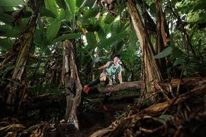 BIB: 
                            <button type="button" onclick="openModal(22381069)" class="btn btn-primary btn-sm float-right btn-popup" data-toggle="modal" data-target=".modal-high-quality">
                        <i class="fas fa-shopping-cart"></i> Add to Cart
                    </button>
                                            <button type="button" onclick="isThisMe(22381069, true)" class="btn btn-success btn-sm float-right btn-popup btn-isme hidden" data-toggle="tooltip" data-placement="bottom" title="นี่คือรูปของคุณใช่ไหม คลิกที่นี่เพื่อเอาเข้าอัลบั้ม">
                        <i class="fas fa-plus"></i> Add to album
                    </button>
                    <button type="button" onclick="isThisMe(22381069, false)" class="btn btn-warning btn-sm float-right btn-popup btn-isnotme hidden">
                        <i class="fas fa-ban"></i> Remove from album
                    </button>