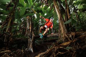 BIB: 
                            <button type="button" onclick="openModal(22382756)" class="btn btn-primary btn-sm float-right btn-popup" data-toggle="modal" data-target=".modal-high-quality">
                        <i class="fas fa-shopping-cart"></i> Add to Cart
                    </button>
                                            <button type="button" onclick="isThisMe(22382756, true)" class="btn btn-success btn-sm float-right btn-popup btn-isme hidden" data-toggle="tooltip" data-placement="bottom" title="นี่คือรูปของคุณใช่ไหม คลิกที่นี่เพื่อเอาเข้าอัลบั้ม">
                        <i class="fas fa-plus"></i> Add to album
                    </button>
                    <button type="button" onclick="isThisMe(22382756, false)" class="btn btn-warning btn-sm float-right btn-popup btn-isnotme hidden">
                        <i class="fas fa-ban"></i> Remove from album
                    </button>