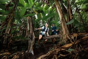 BIB: 
                            <button type="button" onclick="openModal(22381551)" class="btn btn-primary btn-sm float-right btn-popup" data-toggle="modal" data-target=".modal-high-quality">
                        <i class="fas fa-shopping-cart"></i> Add to Cart
                    </button>
                                            <button type="button" onclick="isThisMe(22381551, true)" class="btn btn-success btn-sm float-right btn-popup btn-isme hidden" data-toggle="tooltip" data-placement="bottom" title="นี่คือรูปของคุณใช่ไหม คลิกที่นี่เพื่อเอาเข้าอัลบั้ม">
                        <i class="fas fa-plus"></i> Add to album
                    </button>
                    <button type="button" onclick="isThisMe(22381551, false)" class="btn btn-warning btn-sm float-right btn-popup btn-isnotme hidden">
                        <i class="fas fa-ban"></i> Remove from album
                    </button>