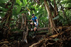 BIB: 
                            <button type="button" onclick="openModal(22384058)" class="btn btn-primary btn-sm float-right btn-popup" data-toggle="modal" data-target=".modal-high-quality">
                        <i class="fas fa-shopping-cart"></i> Add to Cart
                    </button>
                                            <button type="button" onclick="isThisMe(22384058, true)" class="btn btn-success btn-sm float-right btn-popup btn-isme hidden" data-toggle="tooltip" data-placement="bottom" title="นี่คือรูปของคุณใช่ไหม คลิกที่นี่เพื่อเอาเข้าอัลบั้ม">
                        <i class="fas fa-plus"></i> Add to album
                    </button>
                    <button type="button" onclick="isThisMe(22384058, false)" class="btn btn-warning btn-sm float-right btn-popup btn-isnotme hidden">
                        <i class="fas fa-ban"></i> Remove from album
                    </button>