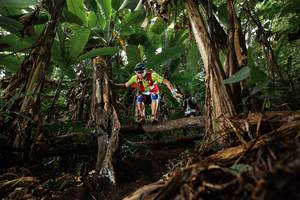 BIB: 
                            <button type="button" onclick="openModal(22382049)" class="btn btn-primary btn-sm float-right btn-popup" data-toggle="modal" data-target=".modal-high-quality">
                        <i class="fas fa-shopping-cart"></i> Add to Cart
                    </button>
                                            <button type="button" onclick="isThisMe(22382049, true)" class="btn btn-success btn-sm float-right btn-popup btn-isme hidden" data-toggle="tooltip" data-placement="bottom" title="นี่คือรูปของคุณใช่ไหม คลิกที่นี่เพื่อเอาเข้าอัลบั้ม">
                        <i class="fas fa-plus"></i> Add to album
                    </button>
                    <button type="button" onclick="isThisMe(22382049, false)" class="btn btn-warning btn-sm float-right btn-popup btn-isnotme hidden">
                        <i class="fas fa-ban"></i> Remove from album
                    </button>