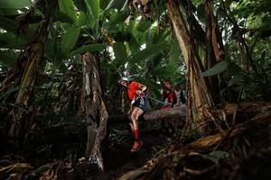 BIB: 
                            <button type="button" onclick="openModal(22380628)" class="btn btn-primary btn-sm float-right btn-popup" data-toggle="modal" data-target=".modal-high-quality">
                        <i class="fas fa-shopping-cart"></i> Add to Cart
                    </button>
                                            <button type="button" onclick="isThisMe(22380628, true)" class="btn btn-success btn-sm float-right btn-popup btn-isme hidden" data-toggle="tooltip" data-placement="bottom" title="นี่คือรูปของคุณใช่ไหม คลิกที่นี่เพื่อเอาเข้าอัลบั้ม">
                        <i class="fas fa-plus"></i> Add to album
                    </button>
                    <button type="button" onclick="isThisMe(22380628, false)" class="btn btn-warning btn-sm float-right btn-popup btn-isnotme hidden">
                        <i class="fas fa-ban"></i> Remove from album
                    </button>