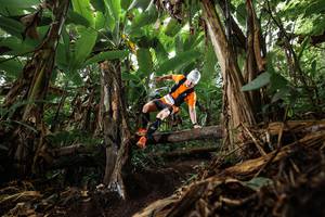 BIB: 
                            <button type="button" onclick="openModal(22383759)" class="btn btn-primary btn-sm float-right btn-popup" data-toggle="modal" data-target=".modal-high-quality">
                        <i class="fas fa-shopping-cart"></i> Add to Cart
                    </button>
                                            <button type="button" onclick="isThisMe(22383759, true)" class="btn btn-success btn-sm float-right btn-popup btn-isme hidden" data-toggle="tooltip" data-placement="bottom" title="นี่คือรูปของคุณใช่ไหม คลิกที่นี่เพื่อเอาเข้าอัลบั้ม">
                        <i class="fas fa-plus"></i> Add to album
                    </button>
                    <button type="button" onclick="isThisMe(22383759, false)" class="btn btn-warning btn-sm float-right btn-popup btn-isnotme hidden">
                        <i class="fas fa-ban"></i> Remove from album
                    </button>