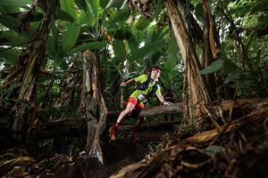 BIB: 
                            <button type="button" onclick="openModal(22383467)" class="btn btn-primary btn-sm float-right btn-popup" data-toggle="modal" data-target=".modal-high-quality">
                        <i class="fas fa-shopping-cart"></i> Add to Cart
                    </button>
                                            <button type="button" onclick="isThisMe(22383467, true)" class="btn btn-success btn-sm float-right btn-popup btn-isme hidden" data-toggle="tooltip" data-placement="bottom" title="นี่คือรูปของคุณใช่ไหม คลิกที่นี่เพื่อเอาเข้าอัลบั้ม">
                        <i class="fas fa-plus"></i> Add to album
                    </button>
                    <button type="button" onclick="isThisMe(22383467, false)" class="btn btn-warning btn-sm float-right btn-popup btn-isnotme hidden">
                        <i class="fas fa-ban"></i> Remove from album
                    </button>