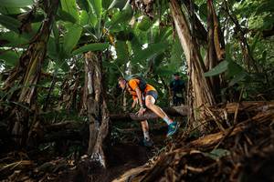 BIB: 
                            <button type="button" onclick="openModal(22381990)" class="btn btn-primary btn-sm float-right btn-popup" data-toggle="modal" data-target=".modal-high-quality">
                        <i class="fas fa-shopping-cart"></i> Add to Cart
                    </button>
                                            <button type="button" onclick="isThisMe(22381990, true)" class="btn btn-success btn-sm float-right btn-popup btn-isme hidden" data-toggle="tooltip" data-placement="bottom" title="นี่คือรูปของคุณใช่ไหม คลิกที่นี่เพื่อเอาเข้าอัลบั้ม">
                        <i class="fas fa-plus"></i> Add to album
                    </button>
                    <button type="button" onclick="isThisMe(22381990, false)" class="btn btn-warning btn-sm float-right btn-popup btn-isnotme hidden">
                        <i class="fas fa-ban"></i> Remove from album
                    </button>