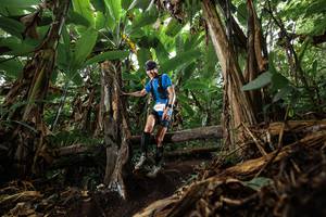 BIB: 401
                            <button type="button" onclick="openModal(22384132)" class="btn btn-primary btn-sm float-right btn-popup" data-toggle="modal" data-target=".modal-high-quality">
                        <i class="fas fa-shopping-cart"></i> Add to Cart
                    </button>
                                            <button type="button" onclick="isThisMe(22384132, true)" class="btn btn-success btn-sm float-right btn-popup btn-isme hidden" data-toggle="tooltip" data-placement="bottom" title="นี่คือรูปของคุณใช่ไหม คลิกที่นี่เพื่อเอาเข้าอัลบั้ม">
                        <i class="fas fa-plus"></i> Add to album
                    </button>
                    <button type="button" onclick="isThisMe(22384132, false)" class="btn btn-warning btn-sm float-right btn-popup btn-isnotme hidden">
                        <i class="fas fa-ban"></i> Remove from album
                    </button>