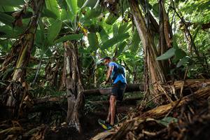 BIB: 
                            <button type="button" onclick="openModal(22380125)" class="btn btn-primary btn-sm float-right btn-popup" data-toggle="modal" data-target=".modal-high-quality">
                        <i class="fas fa-shopping-cart"></i> Add to Cart
                    </button>
                                            <button type="button" onclick="isThisMe(22380125, true)" class="btn btn-success btn-sm float-right btn-popup btn-isme hidden" data-toggle="tooltip" data-placement="bottom" title="นี่คือรูปของคุณใช่ไหม คลิกที่นี่เพื่อเอาเข้าอัลบั้ม">
                        <i class="fas fa-plus"></i> Add to album
                    </button>
                    <button type="button" onclick="isThisMe(22380125, false)" class="btn btn-warning btn-sm float-right btn-popup btn-isnotme hidden">
                        <i class="fas fa-ban"></i> Remove from album
                    </button>