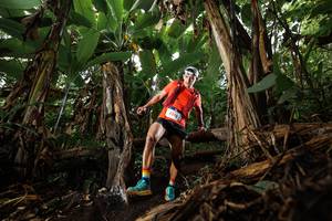 BIB: 5210
                            <button type="button" onclick="openModal(22382755)" class="btn btn-primary btn-sm float-right btn-popup" data-toggle="modal" data-target=".modal-high-quality">
                        <i class="fas fa-shopping-cart"></i> Add to Cart
                    </button>
                                            <button type="button" onclick="isThisMe(22382755, true)" class="btn btn-success btn-sm float-right btn-popup btn-isme hidden" data-toggle="tooltip" data-placement="bottom" title="นี่คือรูปของคุณใช่ไหม คลิกที่นี่เพื่อเอาเข้าอัลบั้ม">
                        <i class="fas fa-plus"></i> Add to album
                    </button>
                    <button type="button" onclick="isThisMe(22382755, false)" class="btn btn-warning btn-sm float-right btn-popup btn-isnotme hidden">
                        <i class="fas fa-ban"></i> Remove from album
                    </button>