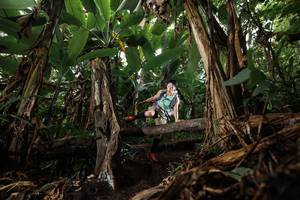 BIB: 
                            <button type="button" onclick="openModal(22381067)" class="btn btn-primary btn-sm float-right btn-popup" data-toggle="modal" data-target=".modal-high-quality">
                        <i class="fas fa-shopping-cart"></i> Add to Cart
                    </button>
                                            <button type="button" onclick="isThisMe(22381067, true)" class="btn btn-success btn-sm float-right btn-popup btn-isme hidden" data-toggle="tooltip" data-placement="bottom" title="นี่คือรูปของคุณใช่ไหม คลิกที่นี่เพื่อเอาเข้าอัลบั้ม">
                        <i class="fas fa-plus"></i> Add to album
                    </button>
                    <button type="button" onclick="isThisMe(22381067, false)" class="btn btn-warning btn-sm float-right btn-popup btn-isnotme hidden">
                        <i class="fas fa-ban"></i> Remove from album
                    </button>