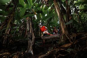 BIB: 
                            <button type="button" onclick="openModal(22380536)" class="btn btn-primary btn-sm float-right btn-popup" data-toggle="modal" data-target=".modal-high-quality">
                        <i class="fas fa-shopping-cart"></i> Add to Cart
                    </button>
                                            <button type="button" onclick="isThisMe(22380536, true)" class="btn btn-success btn-sm float-right btn-popup btn-isme hidden" data-toggle="tooltip" data-placement="bottom" title="นี่คือรูปของคุณใช่ไหม คลิกที่นี่เพื่อเอาเข้าอัลบั้ม">
                        <i class="fas fa-plus"></i> Add to album
                    </button>
                    <button type="button" onclick="isThisMe(22380536, false)" class="btn btn-warning btn-sm float-right btn-popup btn-isnotme hidden">
                        <i class="fas fa-ban"></i> Remove from album
                    </button>