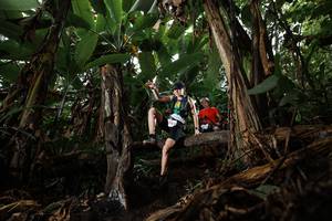 BIB: 
                            <button type="button" onclick="openModal(22380515)" class="btn btn-primary btn-sm float-right btn-popup" data-toggle="modal" data-target=".modal-high-quality">
                        <i class="fas fa-shopping-cart"></i> Add to Cart
                    </button>
                                            <button type="button" onclick="isThisMe(22380515, true)" class="btn btn-success btn-sm float-right btn-popup btn-isme hidden" data-toggle="tooltip" data-placement="bottom" title="นี่คือรูปของคุณใช่ไหม คลิกที่นี่เพื่อเอาเข้าอัลบั้ม">
                        <i class="fas fa-plus"></i> Add to album
                    </button>
                    <button type="button" onclick="isThisMe(22380515, false)" class="btn btn-warning btn-sm float-right btn-popup btn-isnotme hidden">
                        <i class="fas fa-ban"></i> Remove from album
                    </button>