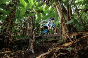 BIB: 
                            <button type="button" onclick="openModal(22384487)" class="btn btn-primary btn-sm float-right btn-popup" data-toggle="modal" data-target=".modal-high-quality">
                        <i class="fas fa-shopping-cart"></i> Add to Cart
                    </button>
                                            <button type="button" onclick="isThisMe(22384487, true)" class="btn btn-success btn-sm float-right btn-popup btn-isme hidden" data-toggle="tooltip" data-placement="bottom" title="นี่คือรูปของคุณใช่ไหม คลิกที่นี่เพื่อเอาเข้าอัลบั้ม">
                        <i class="fas fa-plus"></i> Add to album
                    </button>
                    <button type="button" onclick="isThisMe(22384487, false)" class="btn btn-warning btn-sm float-right btn-popup btn-isnotme hidden">
                        <i class="fas fa-ban"></i> Remove from album
                    </button>