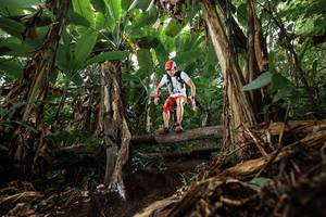 BIB: 
                            <button type="button" onclick="openModal(22382909)" class="btn btn-primary btn-sm float-right btn-popup" data-toggle="modal" data-target=".modal-high-quality">
                        <i class="fas fa-shopping-cart"></i> Add to Cart
                    </button>
                                            <button type="button" onclick="isThisMe(22382909, true)" class="btn btn-success btn-sm float-right btn-popup btn-isme hidden" data-toggle="tooltip" data-placement="bottom" title="นี่คือรูปของคุณใช่ไหม คลิกที่นี่เพื่อเอาเข้าอัลบั้ม">
                        <i class="fas fa-plus"></i> Add to album
                    </button>
                    <button type="button" onclick="isThisMe(22382909, false)" class="btn btn-warning btn-sm float-right btn-popup btn-isnotme hidden">
                        <i class="fas fa-ban"></i> Remove from album
                    </button>