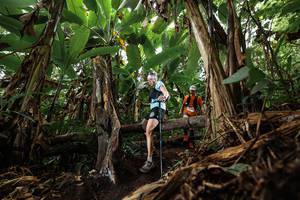 BIB: 
                            <button type="button" onclick="openModal(22383729)" class="btn btn-primary btn-sm float-right btn-popup" data-toggle="modal" data-target=".modal-high-quality">
                        <i class="fas fa-shopping-cart"></i> Add to Cart
                    </button>
                                            <button type="button" onclick="isThisMe(22383729, true)" class="btn btn-success btn-sm float-right btn-popup btn-isme hidden" data-toggle="tooltip" data-placement="bottom" title="นี่คือรูปของคุณใช่ไหม คลิกที่นี่เพื่อเอาเข้าอัลบั้ม">
                        <i class="fas fa-plus"></i> Add to album
                    </button>
                    <button type="button" onclick="isThisMe(22383729, false)" class="btn btn-warning btn-sm float-right btn-popup btn-isnotme hidden">
                        <i class="fas fa-ban"></i> Remove from album
                    </button>