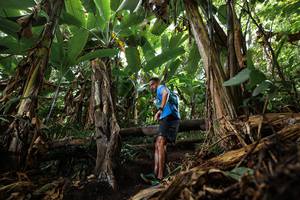 BIB: 
                            <button type="button" onclick="openModal(22380124)" class="btn btn-primary btn-sm float-right btn-popup" data-toggle="modal" data-target=".modal-high-quality">
                        <i class="fas fa-shopping-cart"></i> Add to Cart
                    </button>
                                            <button type="button" onclick="isThisMe(22380124, true)" class="btn btn-success btn-sm float-right btn-popup btn-isme hidden" data-toggle="tooltip" data-placement="bottom" title="นี่คือรูปของคุณใช่ไหม คลิกที่นี่เพื่อเอาเข้าอัลบั้ม">
                        <i class="fas fa-plus"></i> Add to album
                    </button>
                    <button type="button" onclick="isThisMe(22380124, false)" class="btn btn-warning btn-sm float-right btn-popup btn-isnotme hidden">
                        <i class="fas fa-ban"></i> Remove from album
                    </button>