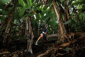 BIB: 
                            <button type="button" onclick="openModal(22381017)" class="btn btn-primary btn-sm float-right btn-popup" data-toggle="modal" data-target=".modal-high-quality">
                        <i class="fas fa-shopping-cart"></i> Add to Cart
                    </button>
                                            <button type="button" onclick="isThisMe(22381017, true)" class="btn btn-success btn-sm float-right btn-popup btn-isme hidden" data-toggle="tooltip" data-placement="bottom" title="นี่คือรูปของคุณใช่ไหม คลิกที่นี่เพื่อเอาเข้าอัลบั้ม">
                        <i class="fas fa-plus"></i> Add to album
                    </button>
                    <button type="button" onclick="isThisMe(22381017, false)" class="btn btn-warning btn-sm float-right btn-popup btn-isnotme hidden">
                        <i class="fas fa-ban"></i> Remove from album
                    </button>