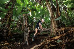 BIB: 
                            <button type="button" onclick="openModal(22383084)" class="btn btn-primary btn-sm float-right btn-popup" data-toggle="modal" data-target=".modal-high-quality">
                        <i class="fas fa-shopping-cart"></i> Add to Cart
                    </button>
                                            <button type="button" onclick="isThisMe(22383084, true)" class="btn btn-success btn-sm float-right btn-popup btn-isme hidden" data-toggle="tooltip" data-placement="bottom" title="นี่คือรูปของคุณใช่ไหม คลิกที่นี่เพื่อเอาเข้าอัลบั้ม">
                        <i class="fas fa-plus"></i> Add to album
                    </button>
                    <button type="button" onclick="isThisMe(22383084, false)" class="btn btn-warning btn-sm float-right btn-popup btn-isnotme hidden">
                        <i class="fas fa-ban"></i> Remove from album
                    </button>