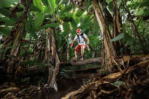 BIB: 
                            <button type="button" onclick="openModal(22382914)" class="btn btn-primary btn-sm float-right btn-popup" data-toggle="modal" data-target=".modal-high-quality">
                        <i class="fas fa-shopping-cart"></i> Add to Cart
                    </button>
                                            <button type="button" onclick="isThisMe(22382914, true)" class="btn btn-success btn-sm float-right btn-popup btn-isme hidden" data-toggle="tooltip" data-placement="bottom" title="นี่คือรูปของคุณใช่ไหม คลิกที่นี่เพื่อเอาเข้าอัลบั้ม">
                        <i class="fas fa-plus"></i> Add to album
                    </button>
                    <button type="button" onclick="isThisMe(22382914, false)" class="btn btn-warning btn-sm float-right btn-popup btn-isnotme hidden">
                        <i class="fas fa-ban"></i> Remove from album
                    </button>