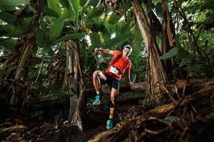 BIB: 201, 1210
                            <button type="button" onclick="openModal(22382761)" class="btn btn-primary btn-sm float-right btn-popup" data-toggle="modal" data-target=".modal-high-quality">
                        <i class="fas fa-shopping-cart"></i> Add to Cart
                    </button>
                                            <button type="button" onclick="isThisMe(22382761, true)" class="btn btn-success btn-sm float-right btn-popup btn-isme hidden" data-toggle="tooltip" data-placement="bottom" title="นี่คือรูปของคุณใช่ไหม คลิกที่นี่เพื่อเอาเข้าอัลบั้ม">
                        <i class="fas fa-plus"></i> Add to album
                    </button>
                    <button type="button" onclick="isThisMe(22382761, false)" class="btn btn-warning btn-sm float-right btn-popup btn-isnotme hidden">
                        <i class="fas fa-ban"></i> Remove from album
                    </button>