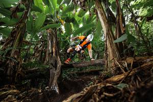 BIB: 
                            <button type="button" onclick="openModal(22383760)" class="btn btn-primary btn-sm float-right btn-popup" data-toggle="modal" data-target=".modal-high-quality">
                        <i class="fas fa-shopping-cart"></i> Add to Cart
                    </button>
                                            <button type="button" onclick="isThisMe(22383760, true)" class="btn btn-success btn-sm float-right btn-popup btn-isme hidden" data-toggle="tooltip" data-placement="bottom" title="นี่คือรูปของคุณใช่ไหม คลิกที่นี่เพื่อเอาเข้าอัลบั้ม">
                        <i class="fas fa-plus"></i> Add to album
                    </button>
                    <button type="button" onclick="isThisMe(22383760, false)" class="btn btn-warning btn-sm float-right btn-popup btn-isnotme hidden">
                        <i class="fas fa-ban"></i> Remove from album
                    </button>