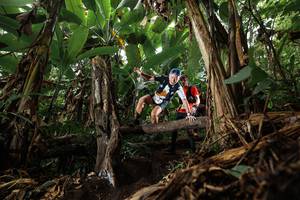 BIB: 
                            <button type="button" onclick="openModal(22381176)" class="btn btn-primary btn-sm float-right btn-popup" data-toggle="modal" data-target=".modal-high-quality">
                        <i class="fas fa-shopping-cart"></i> Add to Cart
                    </button>
                                            <button type="button" onclick="isThisMe(22381176, true)" class="btn btn-success btn-sm float-right btn-popup btn-isme hidden" data-toggle="tooltip" data-placement="bottom" title="นี่คือรูปของคุณใช่ไหม คลิกที่นี่เพื่อเอาเข้าอัลบั้ม">
                        <i class="fas fa-plus"></i> Add to album
                    </button>
                    <button type="button" onclick="isThisMe(22381176, false)" class="btn btn-warning btn-sm float-right btn-popup btn-isnotme hidden">
                        <i class="fas fa-ban"></i> Remove from album
                    </button>