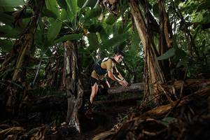 BIB: 201
                            <button type="button" onclick="openModal(22380944)" class="btn btn-primary btn-sm float-right btn-popup" data-toggle="modal" data-target=".modal-high-quality">
                        <i class="fas fa-shopping-cart"></i> Add to Cart
                    </button>
                                            <button type="button" onclick="isThisMe(22380944, true)" class="btn btn-success btn-sm float-right btn-popup btn-isme hidden" data-toggle="tooltip" data-placement="bottom" title="นี่คือรูปของคุณใช่ไหม คลิกที่นี่เพื่อเอาเข้าอัลบั้ม">
                        <i class="fas fa-plus"></i> Add to album
                    </button>
                    <button type="button" onclick="isThisMe(22380944, false)" class="btn btn-warning btn-sm float-right btn-popup btn-isnotme hidden">
                        <i class="fas fa-ban"></i> Remove from album
                    </button>