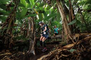 BIB: 
                            <button type="button" onclick="openModal(22385299)" class="btn btn-primary btn-sm float-right btn-popup" data-toggle="modal" data-target=".modal-high-quality">
                        <i class="fas fa-shopping-cart"></i> Add to Cart
                    </button>
                                            <button type="button" onclick="isThisMe(22385299, true)" class="btn btn-success btn-sm float-right btn-popup btn-isme hidden" data-toggle="tooltip" data-placement="bottom" title="นี่คือรูปของคุณใช่ไหม คลิกที่นี่เพื่อเอาเข้าอัลบั้ม">
                        <i class="fas fa-plus"></i> Add to album
                    </button>
                    <button type="button" onclick="isThisMe(22385299, false)" class="btn btn-warning btn-sm float-right btn-popup btn-isnotme hidden">
                        <i class="fas fa-ban"></i> Remove from album
                    </button>