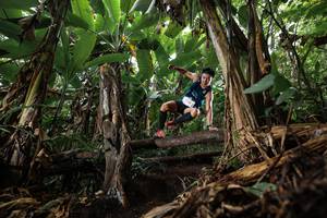 BIB: 
                            <button type="button" onclick="openModal(22380127)" class="btn btn-primary btn-sm float-right btn-popup" data-toggle="modal" data-target=".modal-high-quality">
                        <i class="fas fa-shopping-cart"></i> Add to Cart
                    </button>
                                            <button type="button" onclick="isThisMe(22380127, true)" class="btn btn-success btn-sm float-right btn-popup btn-isme hidden" data-toggle="tooltip" data-placement="bottom" title="นี่คือรูปของคุณใช่ไหม คลิกที่นี่เพื่อเอาเข้าอัลบั้ม">
                        <i class="fas fa-plus"></i> Add to album
                    </button>
                    <button type="button" onclick="isThisMe(22380127, false)" class="btn btn-warning btn-sm float-right btn-popup btn-isnotme hidden">
                        <i class="fas fa-ban"></i> Remove from album
                    </button>