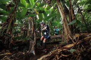 BIB: 
                            <button type="button" onclick="openModal(22385291)" class="btn btn-primary btn-sm float-right btn-popup" data-toggle="modal" data-target=".modal-high-quality">
                        <i class="fas fa-shopping-cart"></i> Add to Cart
                    </button>
                                            <button type="button" onclick="isThisMe(22385291, true)" class="btn btn-success btn-sm float-right btn-popup btn-isme hidden" data-toggle="tooltip" data-placement="bottom" title="นี่คือรูปของคุณใช่ไหม คลิกที่นี่เพื่อเอาเข้าอัลบั้ม">
                        <i class="fas fa-plus"></i> Add to album
                    </button>
                    <button type="button" onclick="isThisMe(22385291, false)" class="btn btn-warning btn-sm float-right btn-popup btn-isnotme hidden">
                        <i class="fas fa-ban"></i> Remove from album
                    </button>